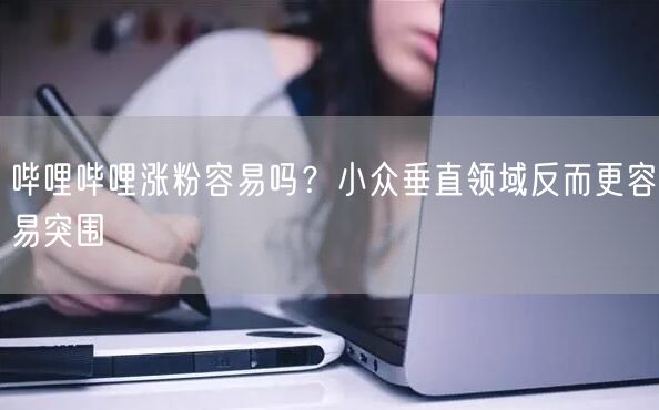 哔哩哔哩涨粉容易吗？小众垂直领域反而更容易突围